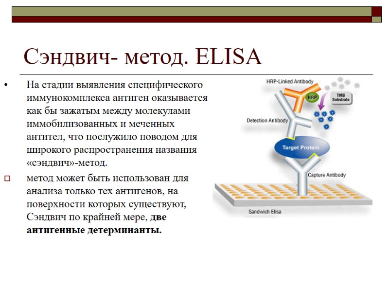 Сэндвич- метод. ELISA На стадии выявления специфического иммунокомплекса антиген оказывается как бы зажатым между